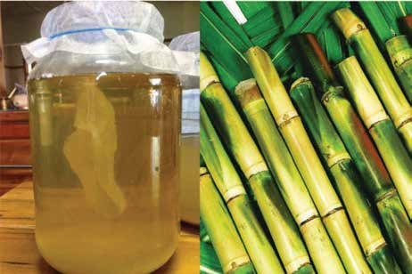 Ganne ka Sirka / Khall (Sugarcane vinegar)